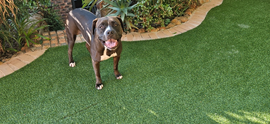 5 Bedroom Property for Sale in Langenhovenpark Free State